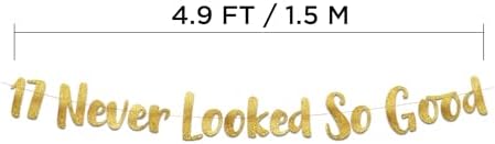 17th Anniversary Gold Glitter Banner - 17 Never Looked So Good