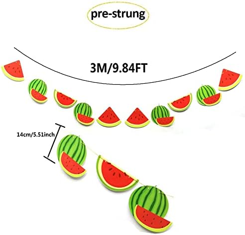 Watermelon Birthday Banner Pre-Strung Decor