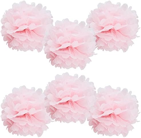 WYZworks Set of 6 Tissue Pom Poms Party Decorations