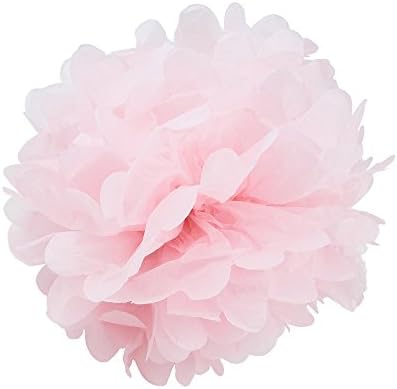 WYZworks Set of 6 Tissue Pom Poms Party Decorations