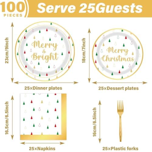 100 Pcs Christmas Party Plates Napkins Decor