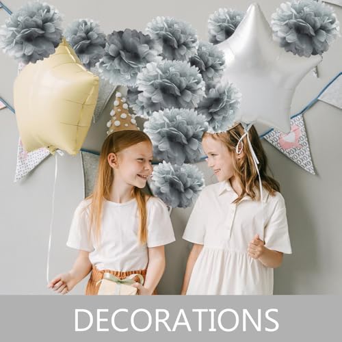 Ruidee 12 Pieces Tissue Paper Pompoms - 10in 12in Hanging Decorations