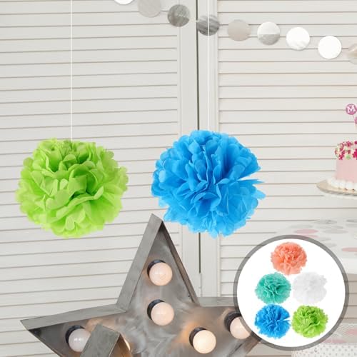 LUOZZY 20 Pcs Tissue Paper Pom Poms 30cm for Parties