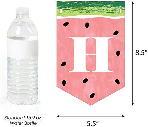 Big Dot of Happiness Sweet Watermelon Birthday Bunting Banner