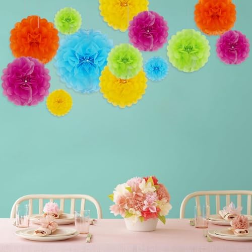 Tissue Paper Pom Poms 20 Piece Set 6 10 12 14 Inch