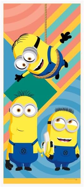 Despicable Me Birthday Supplies Bundle