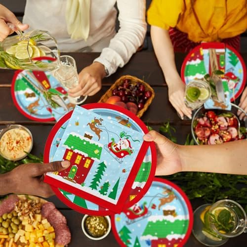 Christmas Party Supplies - 50pcs Santa Themed Plates Napkins