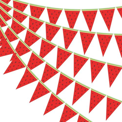 5 Pcs Watermelon Banner Garland Summer Decorations
