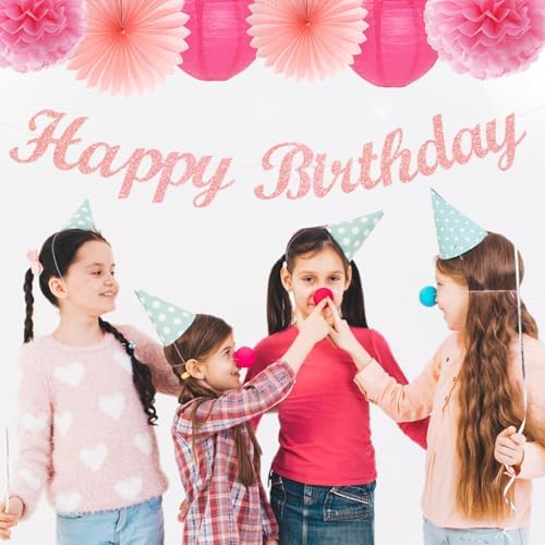 Hot Pink Birthday Decorations - 14pcs Paper Flowers Lanterns Pom Poms
