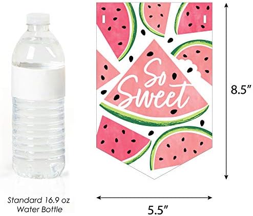Big Dot of Happiness Sweet Watermelon Birthday Bunting Banner