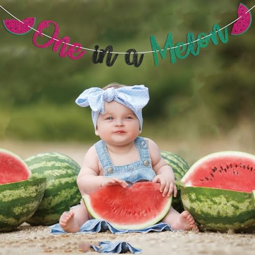 One in a Melon Birthday Banner - Glitter Green Watermelon Decor