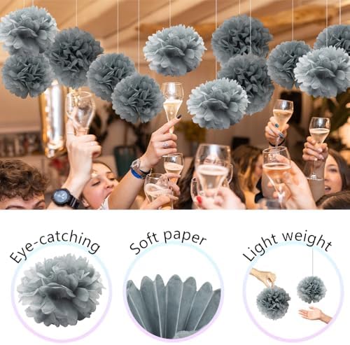 Ruidee 12 Pieces Tissue Paper Pompoms - 10in 12in Hanging Decorations