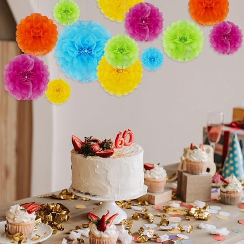 Tissue Paper Pom Poms 20 Piece Set 6 10 12 14 Inch