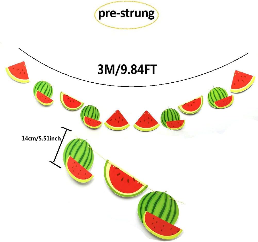 Watermelon Birthday Banner Pre-Strung Decor