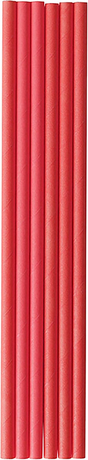 Disposable Christmas Paper Plates Napkins Cups Straws Set for 20 Red