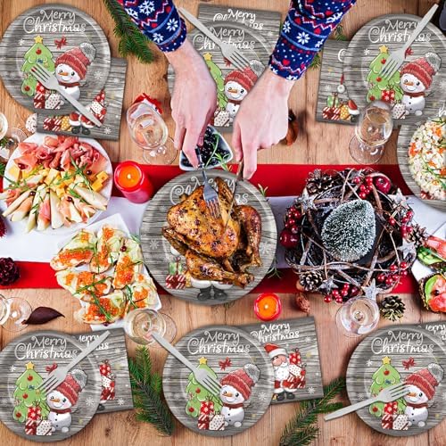 96 Piece Christmas Party Plates with Santa Decor