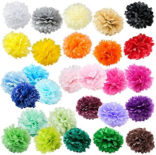 WYZworks Set of 6 Tissue Pom Poms Party Decorations