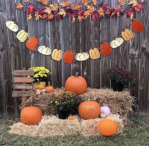 Little Pumpkin Birthday Banner - Fall Wall Decor