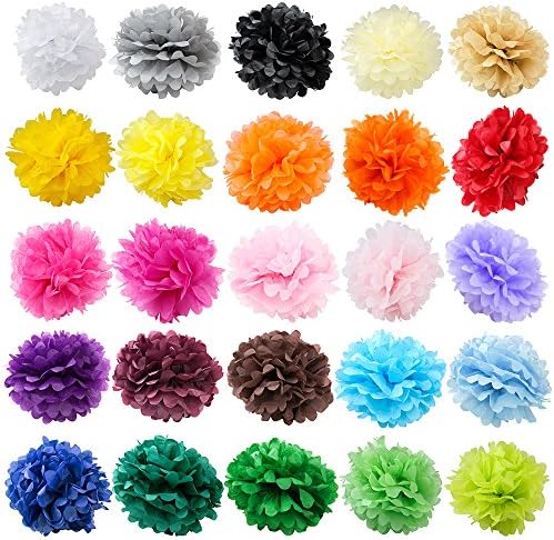 WYZworks Set of 6 Tissue Pom Poms Party Decorations
