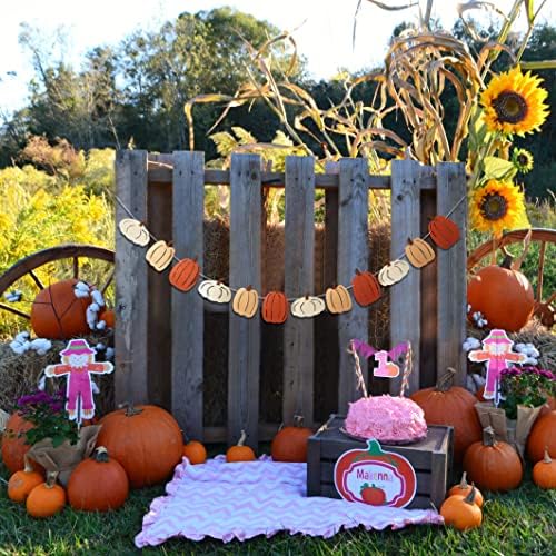 Little Pumpkin Birthday Banner - Fall Wall Decor