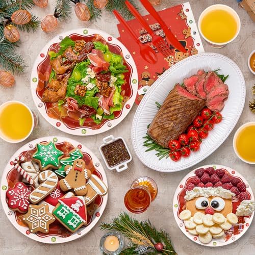 KesaPlan 170 Piece Christmas Party Supplies Set