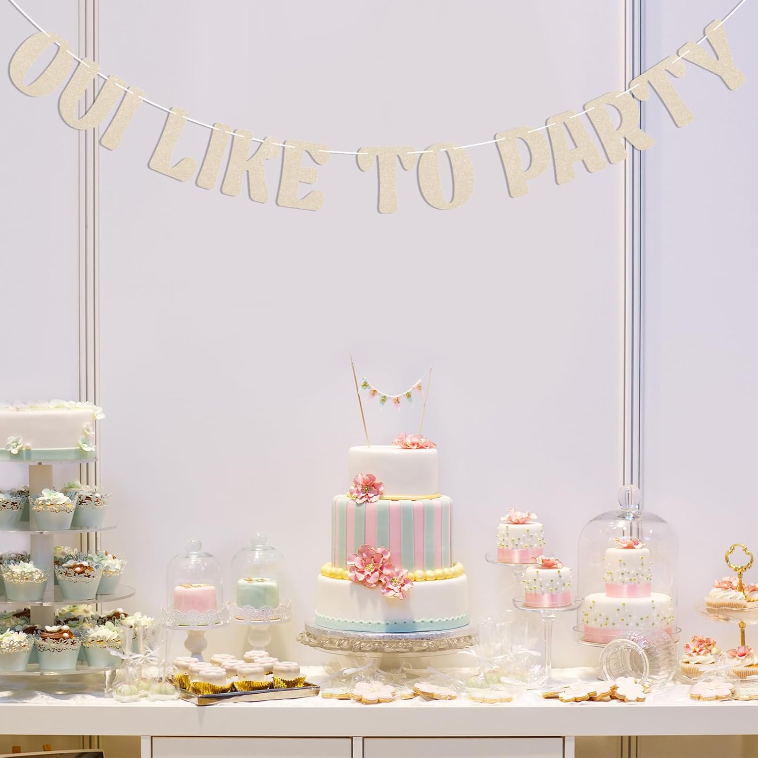 Oui Like to Party Banner - French Hen Party Decorations