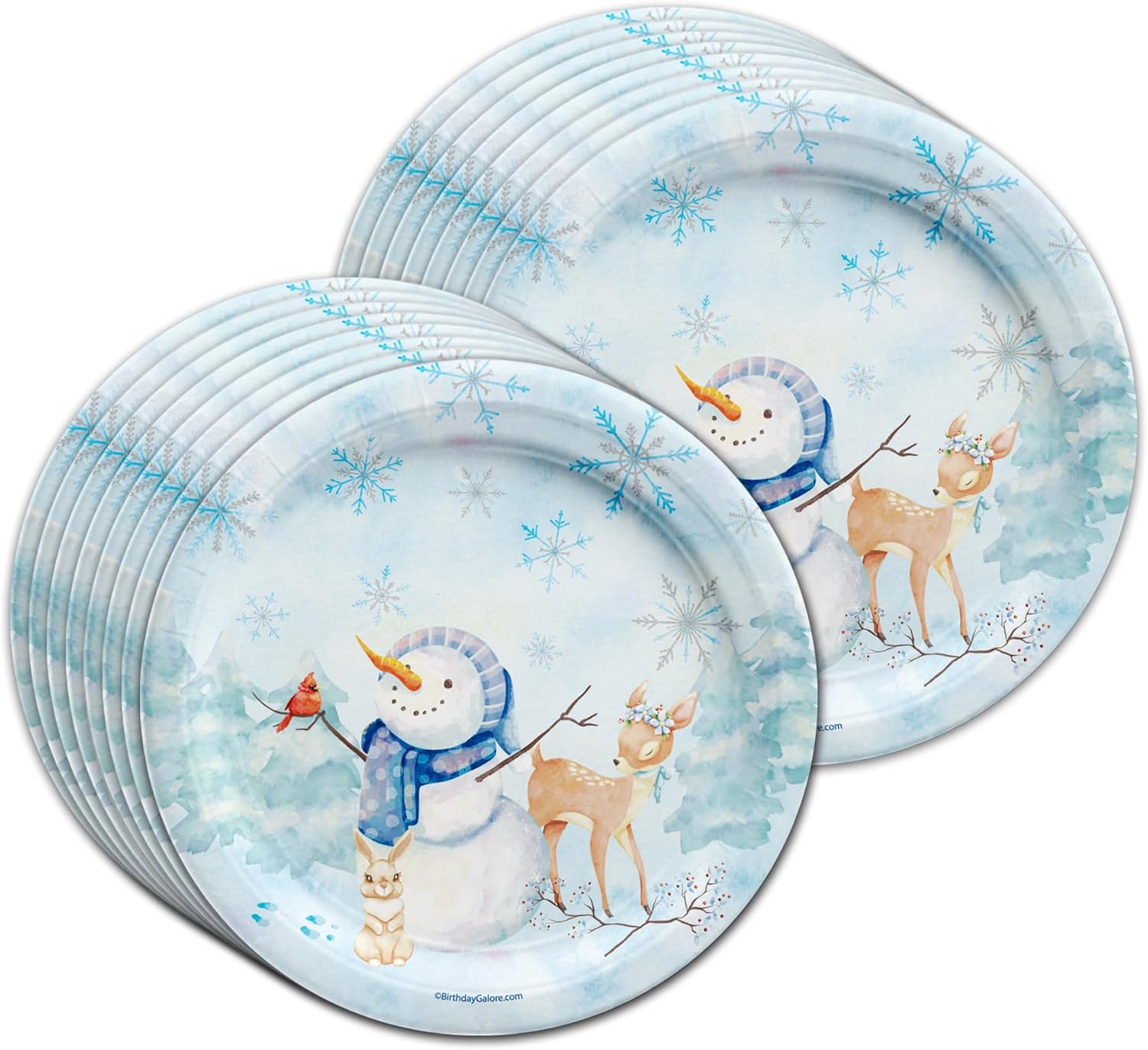 Snowman Snowflake Winter 1st Birthday Tableware Set 64 Piece