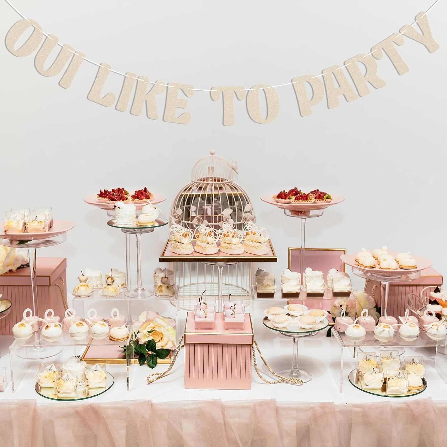 Oui Like to Party Banner - French Hen Party Decorations