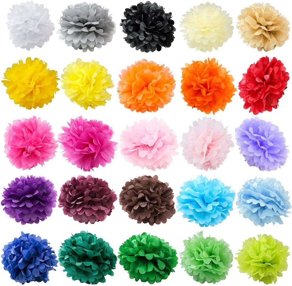 WYZworks Set of 6 Tissue Pom Poms Party Decorations