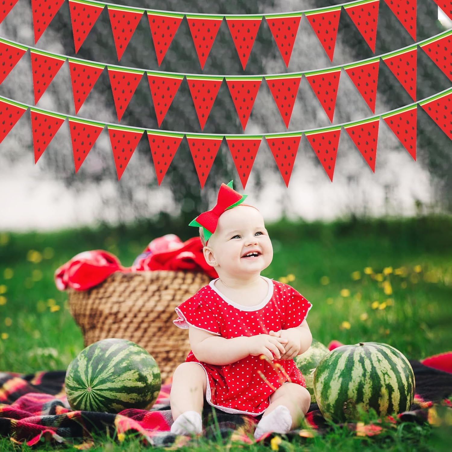 5 Pcs Watermelon Banner Garland Summer Decorations