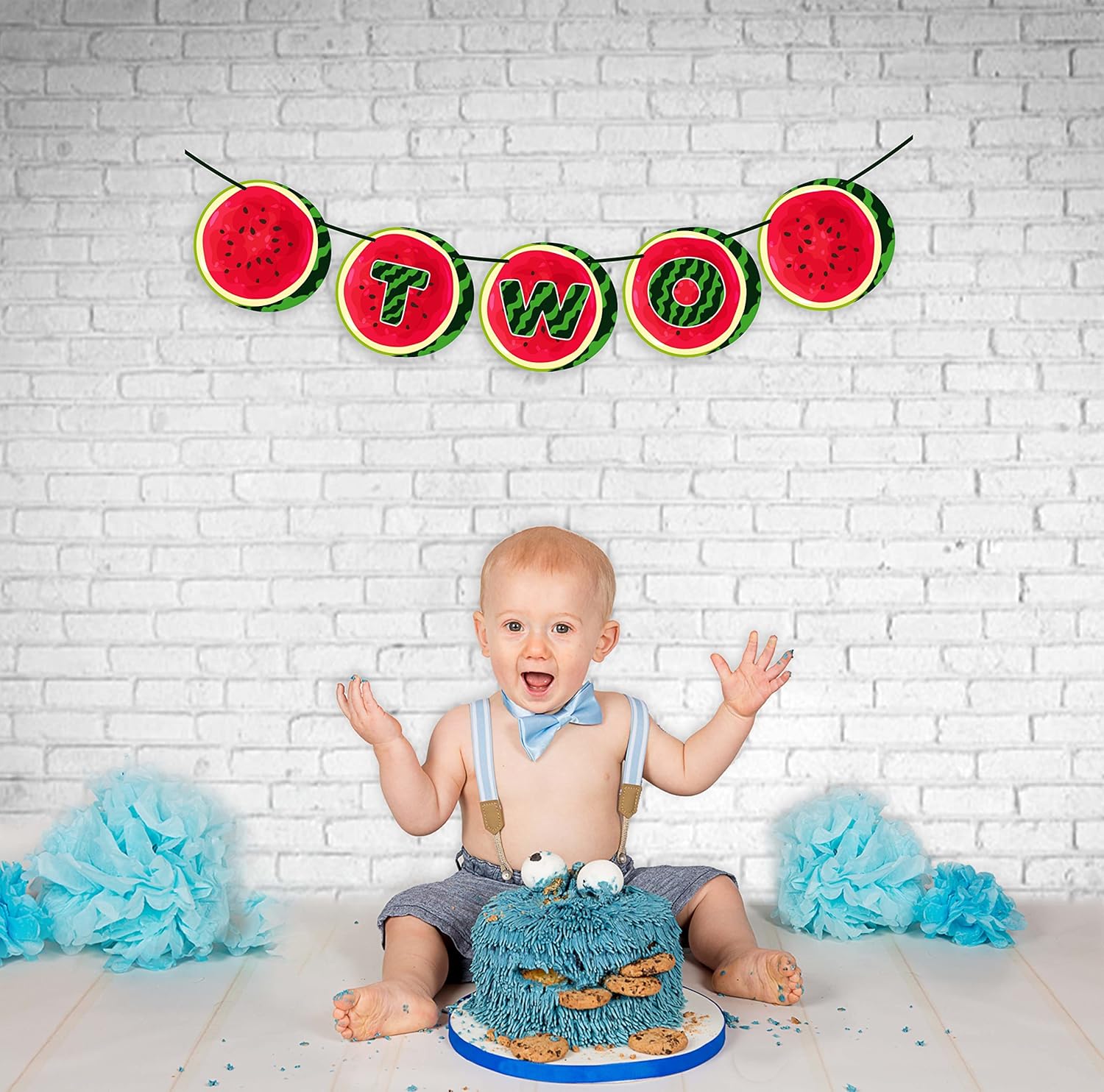 Seyal Watermelon Two Banner