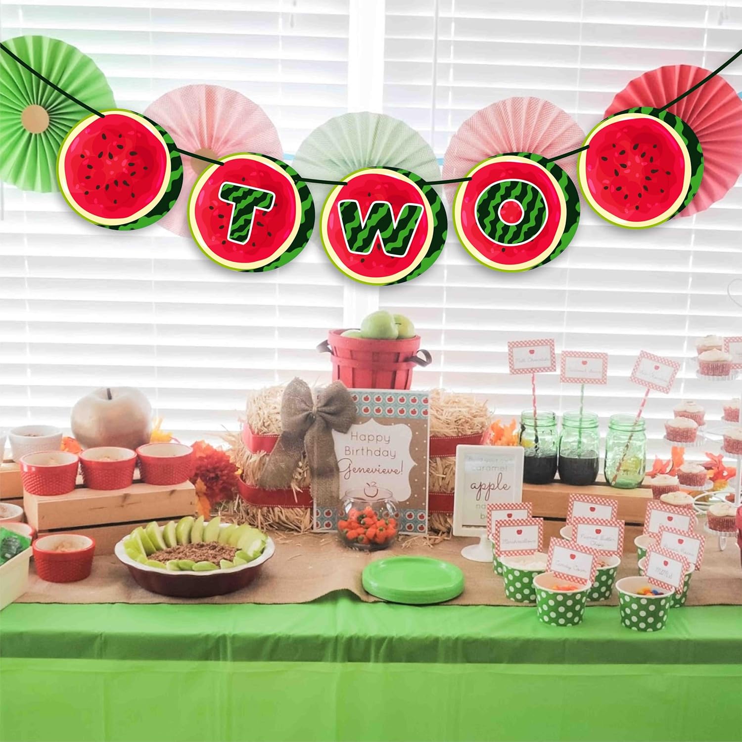Seyal Watermelon Two Banner
